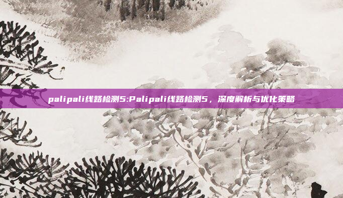 palipali线路检测5:Palipali线路检测5，深度解析与优化策略