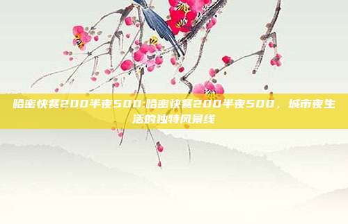 哈密快餐200半夜500:哈密快餐200半夜500，城市夜生活的独特风景线