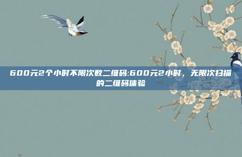 600元2个小时不限次数二维码:600元2小时，无限次扫描的二维码体验