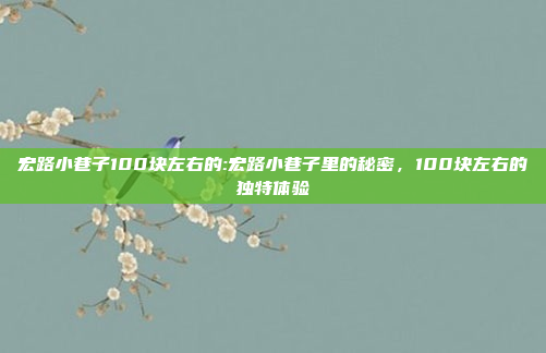 宏路小巷子100块左右的:宏路小巷子里的秘密，100块左右的独特体验