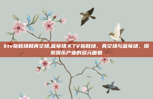 ktv拖鞋场和真空场,蓝莓场:KTV拖鞋场、真空场与蓝莓场，探索娱乐产业的多元面貌