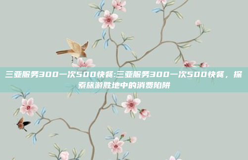 三亚服务300一次500快餐:三亚服务300一次500快餐，探索旅游胜地中的消费陷阱