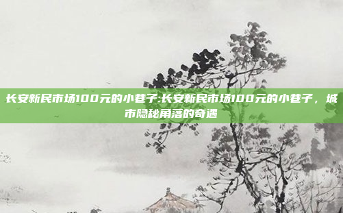 长安新民市场100元的小巷子:长安新民市场100元的小巷子，城市隐秘角落的奇遇