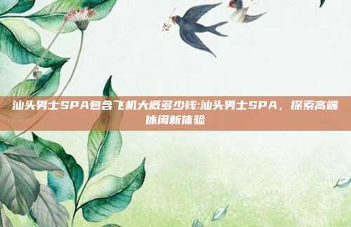 汕头男士SPA包含飞机大概多少钱:汕头男士SPA，探索高端休闲新体验