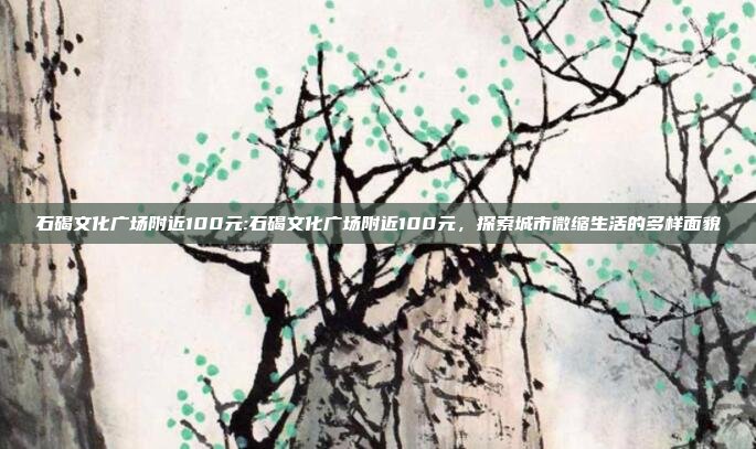 石碣文化广场附近100元:石碣文化广场附近100元，探索城市微缩生活的多样面貌