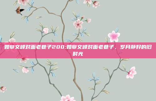 如皋文峰对面老巷子200:如皋文峰对面老巷子，岁月静好的旧时光