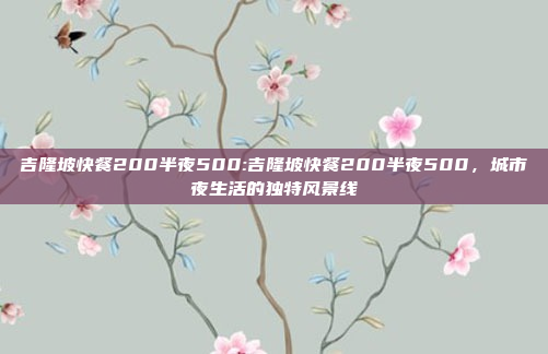 吉隆坡快餐200半夜500:吉隆坡快餐200半夜500，城市夜生活的独特风景线