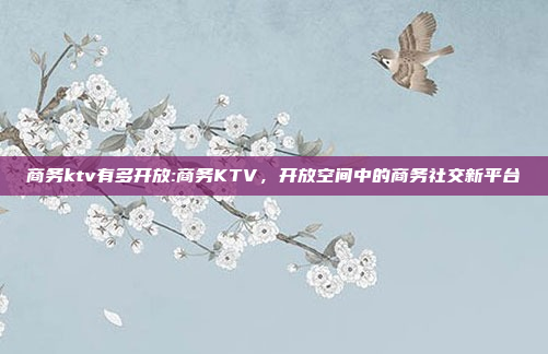 商务ktv有多开放:商务KTV，开放空间中的商务社交新平台