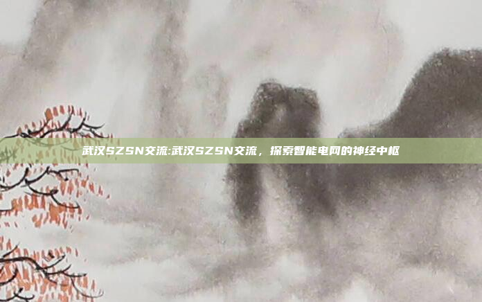 武汉SZSN交流:武汉SZSN交流，探索智能电网的神经中枢