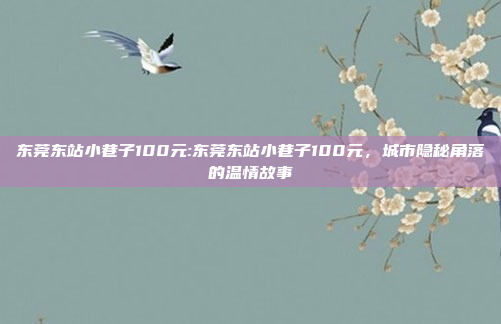 东莞东站小巷子100元:东莞东站小巷子100元，城市隐秘角落的温情故事