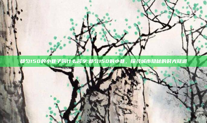 都匀150的小巷子叫什么名字:都匀150的小巷，探寻城市隐秘的时光隧道