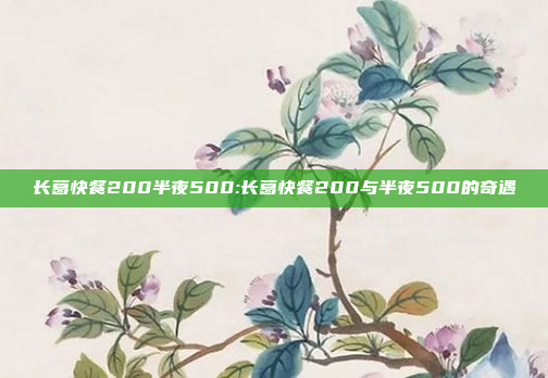 长葛快餐200半夜500:长葛快餐200与半夜500的奇遇