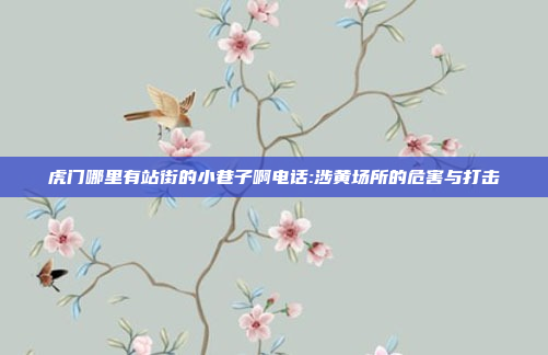 虎门哪里有站街的小巷子啊电话:涉黄场所的危害与打击