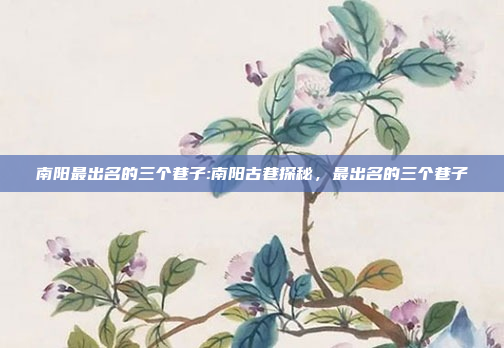 南阳最出名的三个巷子:南阳古巷探秘，最出名的三个巷子