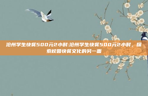 沧州学生快餐500元2小时:沧州学生快餐500元2小时，探索校园快餐文化的另一面