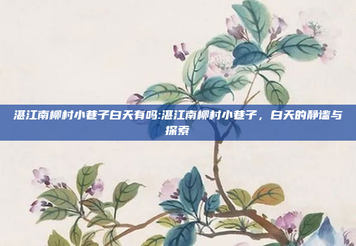 湛江南柳村小巷子白天有吗:湛江南柳村小巷子，白天的静谧与探索