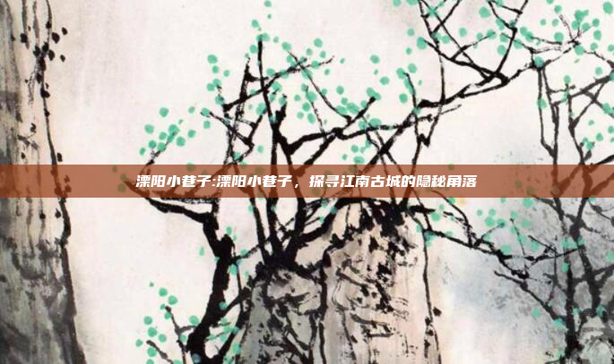 溧阳小巷子:溧阳小巷子，探寻江南古城的隐秘角落