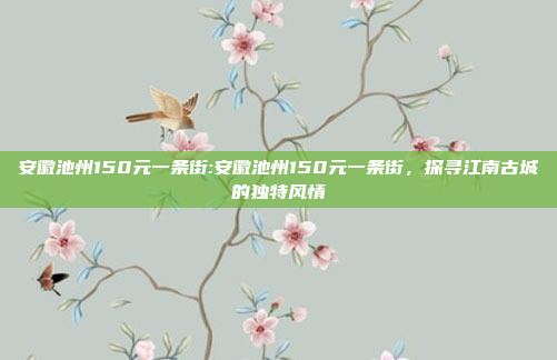 安徽池州150元一条街:安徽池州150元一条街，探寻江南古城的独特风情