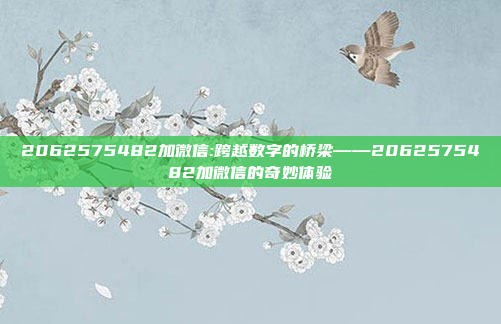 2062575482加微信:跨越数字的桥梁——2062575482加微信的奇妙体验