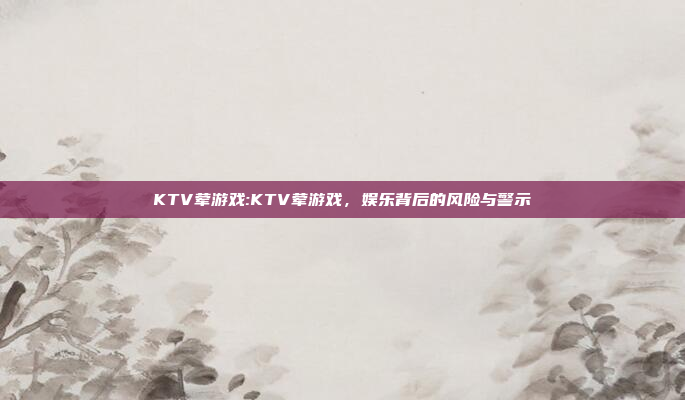 KTV荤游戏:KTV荤游戏，娱乐背后的风险与警示