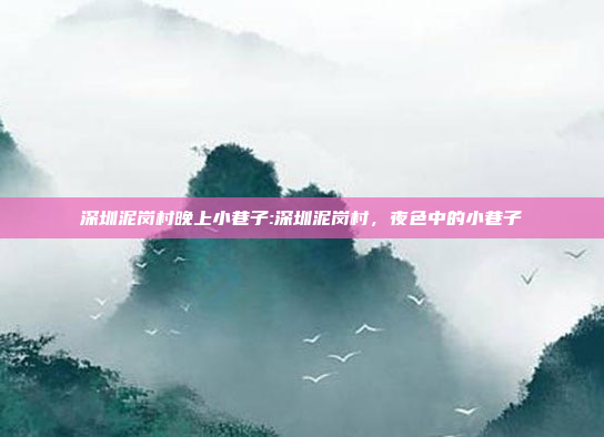 深圳泥岗村晚上小巷子:深圳泥岗村，夜色中的小巷子