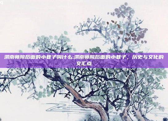 渭南师院后面的小巷子叫什么:渭南师院后面的小巷子，历史与文化的交汇点