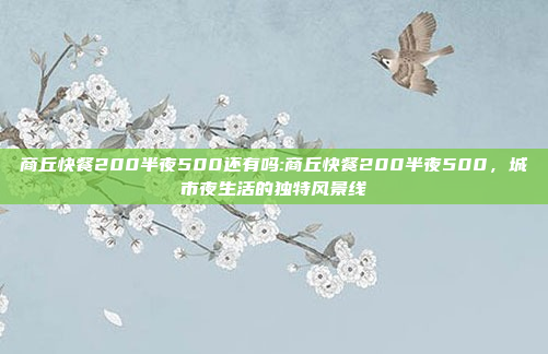 商丘快餐200半夜500还有吗:商丘快餐200半夜500，城市夜生活的独特风景线