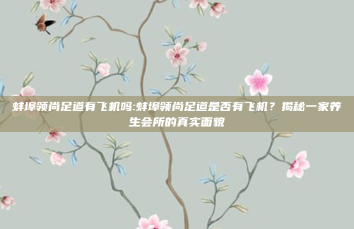 蚌埠领尚足道有飞机吗:蚌埠领尚足道是否有飞机？揭秘一家养生会所的真实面貌