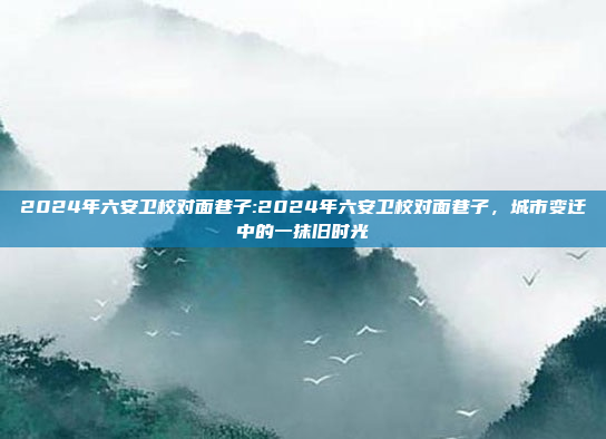 2024年六安卫校对面巷子:2024年六安卫校对面巷子，城市变迁中的一抹旧时光