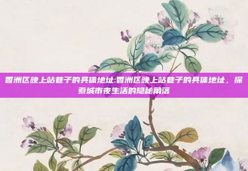 香洲区晚上站巷子的具体地址:香洲区晚上站巷子的具体地址，探索城市夜生活的隐秘角落