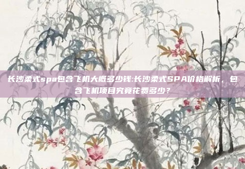 长沙柔式spa包含飞机大概多少钱:长沙柔式SPA价格解析，包含飞机项目究竟花费多少？