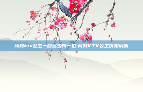 商务ktv公主一般多少钱一位:商务KTV公主价格解析