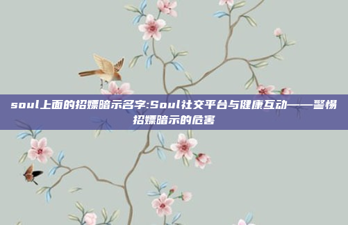 soul上面的招嫖暗示名字:Soul社交平台与健康互动——警惕招嫖暗示的危害