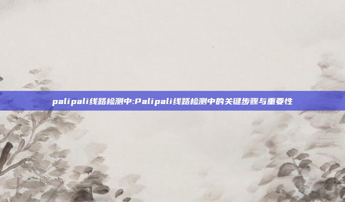 palipali线路检测中:Palipali线路检测中的关键步骤与重要性