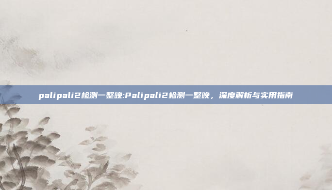 palipali2检测一整晚:Palipali2检测一整晚，深度解析与实用指南