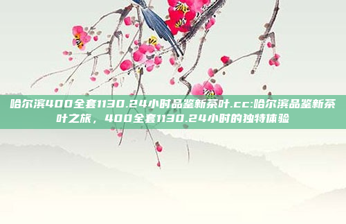 哈尔滨400全套1130.24小时品鉴新茶叶.cc:哈尔滨品鉴新茶叶之旅，400全套1130.24小时的独特体验