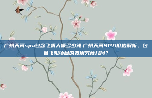 广州天河spa包含飞机大概多少钱:广州天河SPA价格解析，包含飞机项目的费用究竟几何？