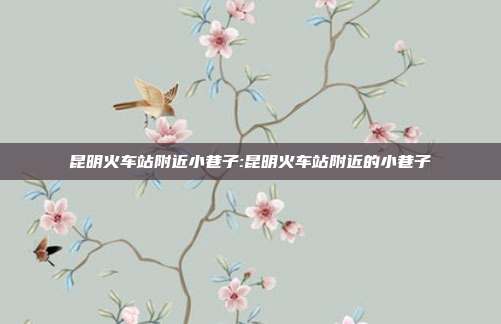 昆明火车站附近小巷子:昆明火车站附近的小巷子