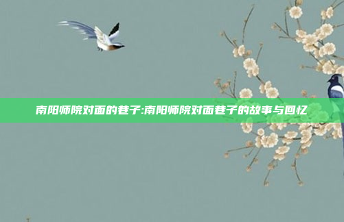 南阳师院对面的巷子:南阳师院对面巷子的故事与回忆