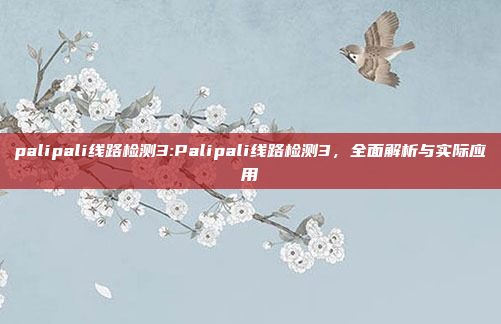 palipali线路检测3:Palipali线路检测3，全面解析与实际应用