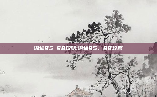 深圳95 98攻略:深圳95、98攻略