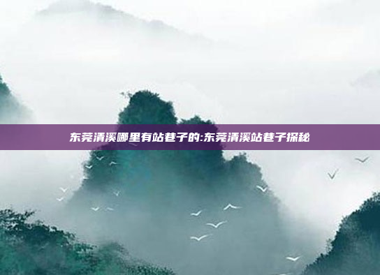 东莞清溪哪里有站巷子的:东莞清溪站巷子探秘