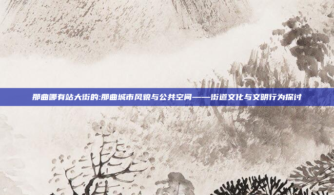 那曲哪有站大街的:那曲城市风貌与公共空间——街道文化与文明行为探讨