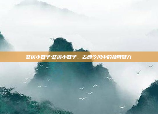 慈溪小巷子:慈溪小巷子，古韵今风中的独特魅力