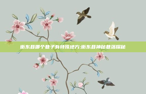 衡东县哪个巷子有特殊地方:衡东县神秘巷落探秘