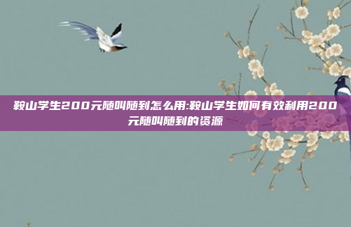 鞍山学生200元随叫随到怎么用:鞍山学生如何有效利用200元随叫随到的资源