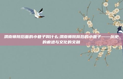 渭南师院后面的小巷子叫什么:渭南师院背后的小巷子——历史的痕迹与文化的交融