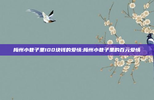 梅州小巷子里100块钱的爱情:梅州小巷子里的百元爱情