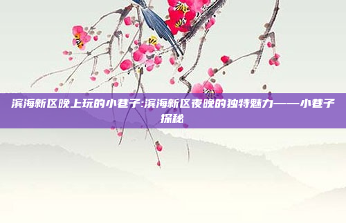 滨海新区晚上玩的小巷子:滨海新区夜晚的独特魅力——小巷子探秘