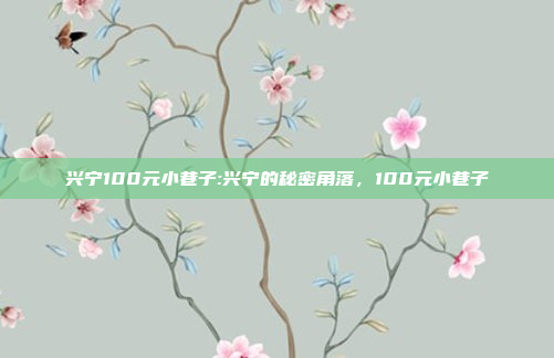 兴宁100元小巷子:兴宁的秘密角落，100元小巷子